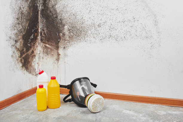 Crawl Space Mold Removal in Chappaqua, NY