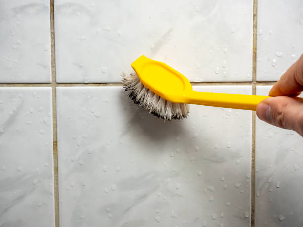 Best Emergency Mold Removal  in Chappaqua, NY