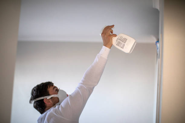 Best Mold Cleaning Services  in Chappaqua, NY